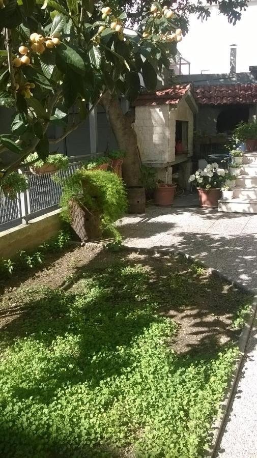 Apartman Renata Omiš Exterior foto